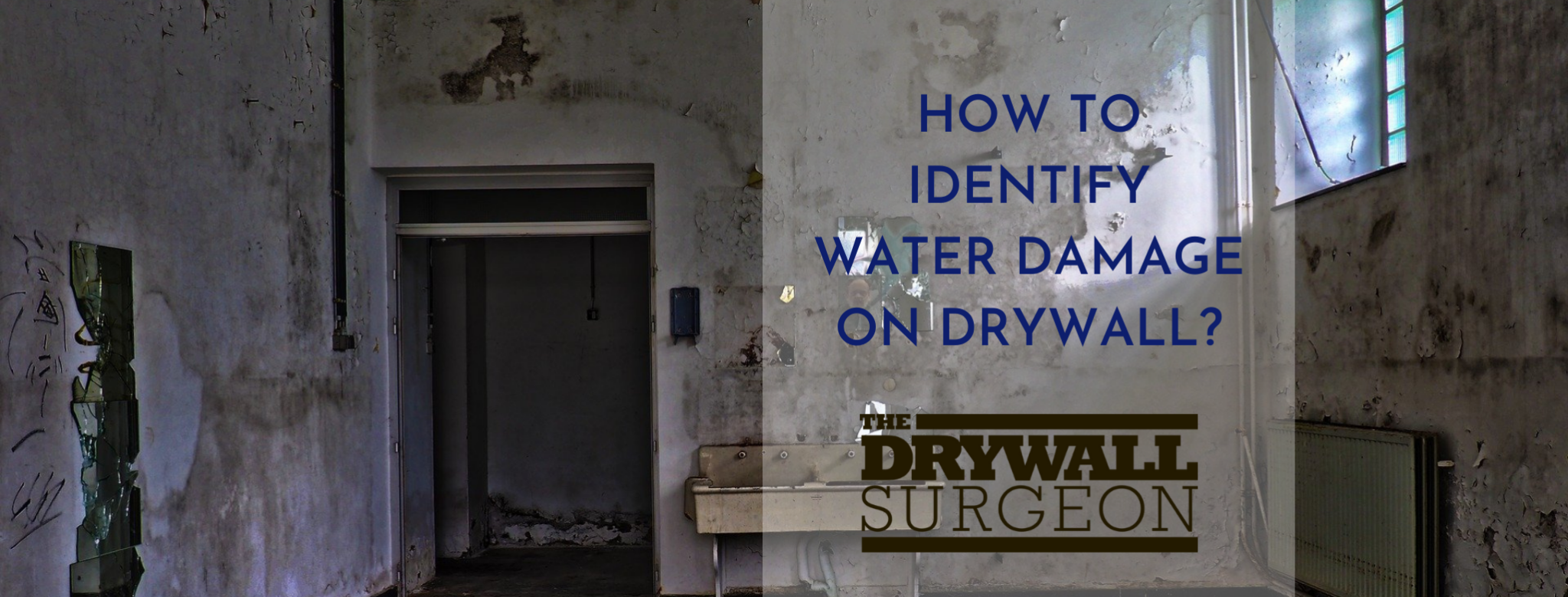 DIY solution for Damp walls Drywall Surgeon